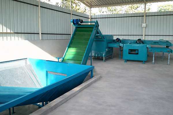 Grading & Sorting Line